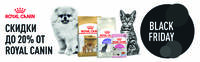 Черная пятница с ROYAL CANIN