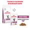 ROYAL CANIN Early Renal Feline