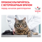 ROYAL CANIN Early Renal Feline