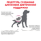 ROYAL CANIN Early Renal Canine