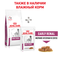 ROYAL CANIN Early Renal Canine