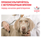 ROYAL CANIN Early Renal Canine