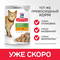 HILL'S Cat пауч Youthful Vitality (курица), 85 г