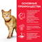 HILL'S Cat пауч Youthful Vitality (лосось), 85 г