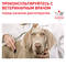 ROYAL CANIN паучи для собак Neutered Adult, 100 г