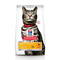 HILL'S корм для кошек Urinary Health Sterilised Cat (курица) (7 кг)