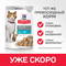 HILL'S Pouch Cat Adult Sterilised (форель), 85 гр