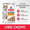 HILL'S Pouch Cat Adult Sterilised (курица), 85 гр