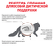 ROYAL CANIN Gastrointestinal Feline