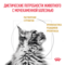 ROYAL CANIN Urinary S/O Feline (0.4 кг)