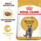 ROYAL CANIN корм для кошек British Shorthair (10 кг)