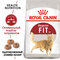 ROYAL CANIN корм для кошек Fit (0.4 кг)