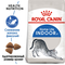 ROYAL CANIN корм для кошек Indoor (10 кг)