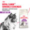 ROYAL CANIN корм для кошек Sensible