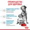 ROYAL CANIN корм для щенков Medium Starter Mother & Babydog