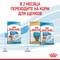 ROYAL CANIN корм для щенков Medium Starter Mother & Babydog