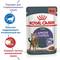 ROYAL CANIN Appetite Control Care (кусочки в соусе), 85 гр