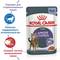 ROYAL CANIN Appetite Control Care (кусочки в желе), 85 гр