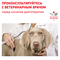 ROYAL CANIN Gastrointestinal Low Fat Canine