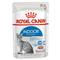 ROYAL CANIN Indoor Sterilised  (паштет), 85 гр
