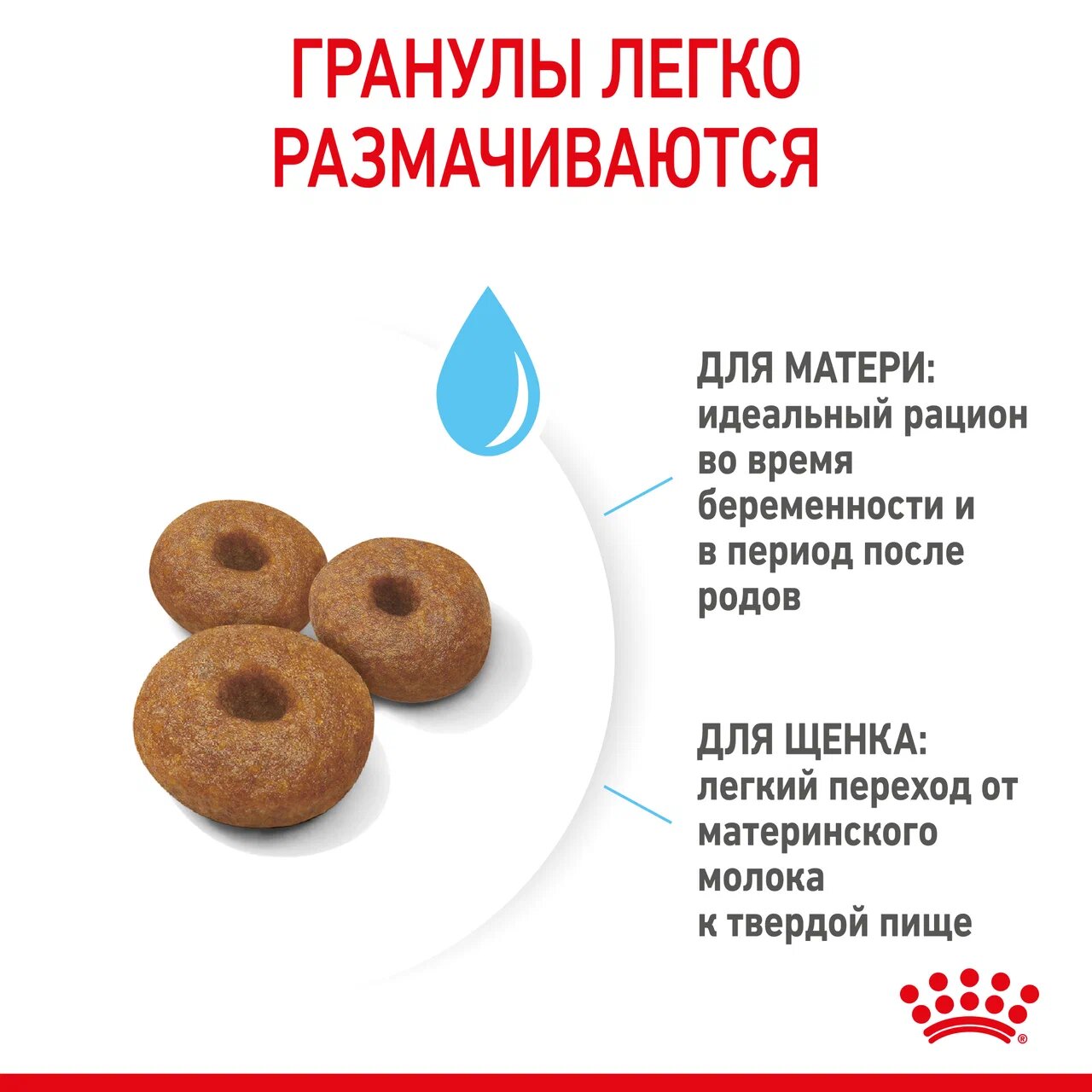 ROYAL CANIN корм для щенков Maxi Starter Mother & Babydog