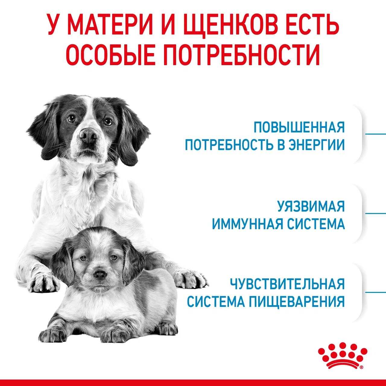 ROYAL CANIN корм для щенков Medium Starter Mother & Babydog