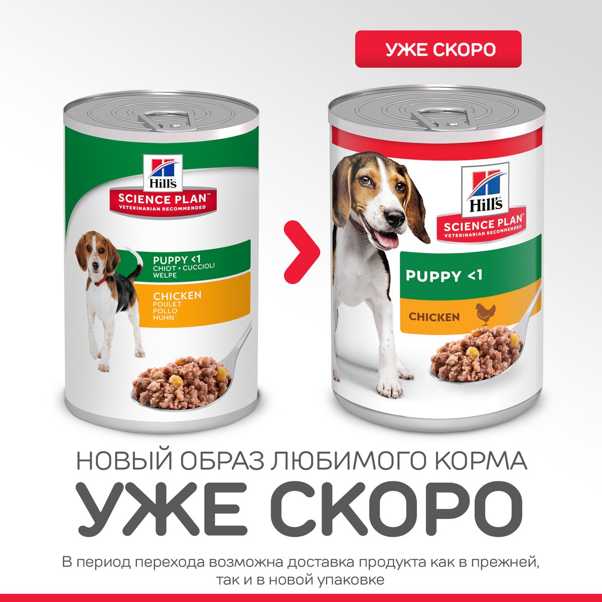 Hills Интернет Магазин Корм